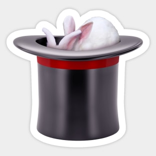 Adult Magic Sticker